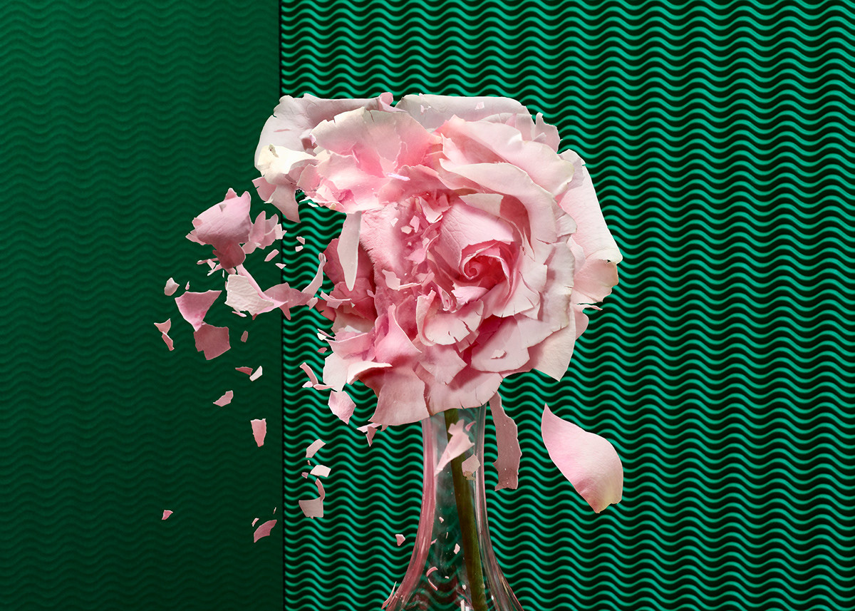 玫瑰花盛开旋转花瓣飘落遮罩转场视频素材MOV视频特效素材-千库网